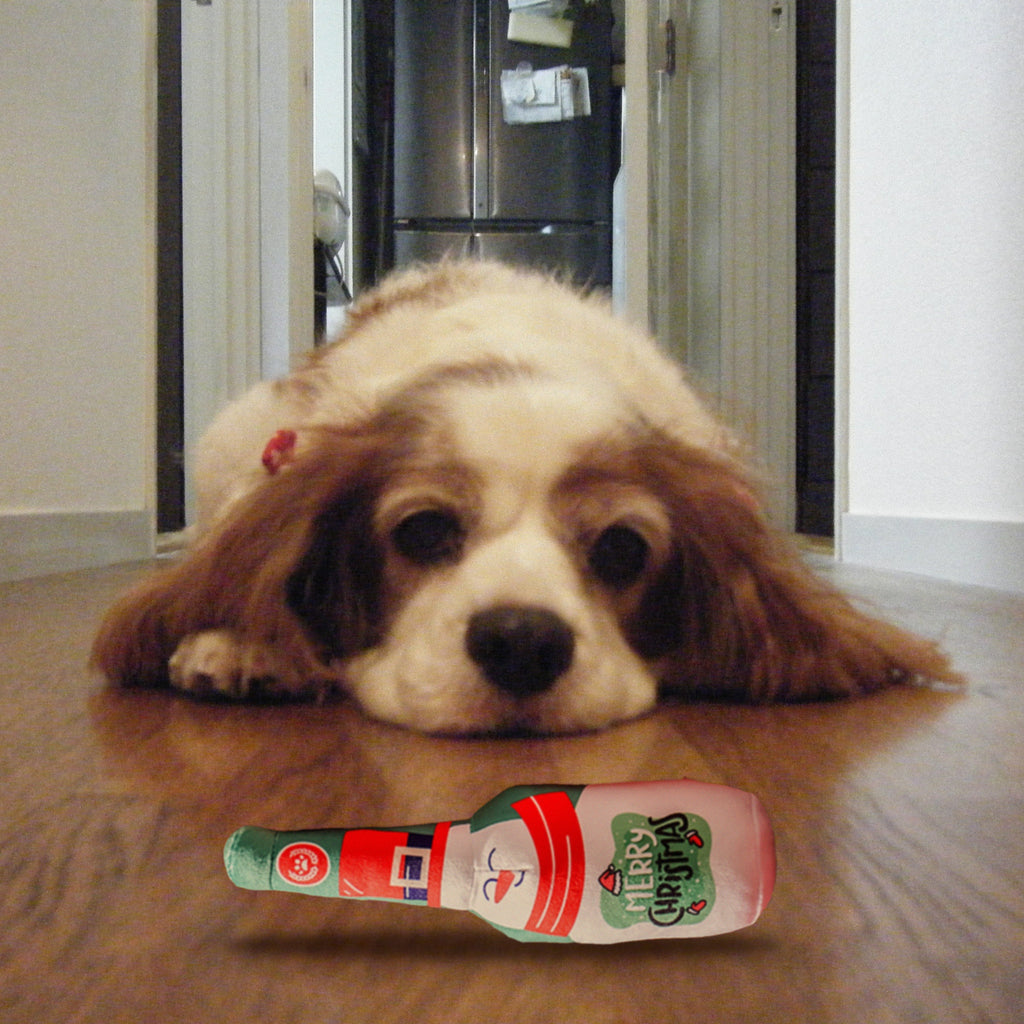 Christmas Squeaky Bottle Dog Toy with a dog