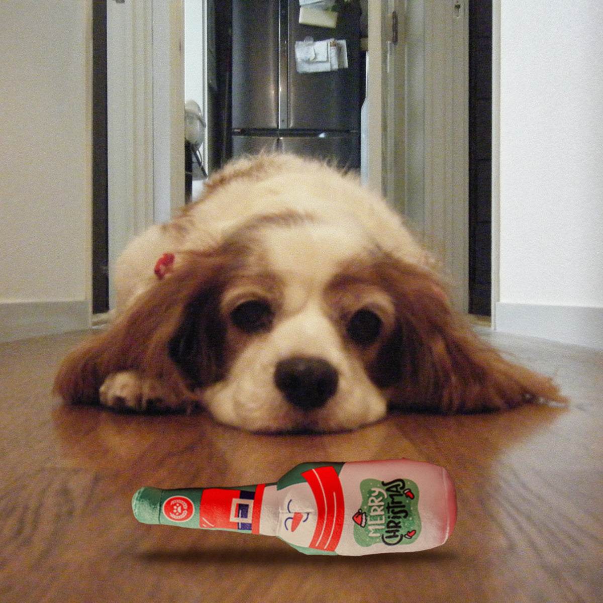 Christmas Squeaky Bottle Dog Toy with a dog