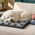 Fluffy white dog asleep on the grey paw print fleece blanket on a cream sofa