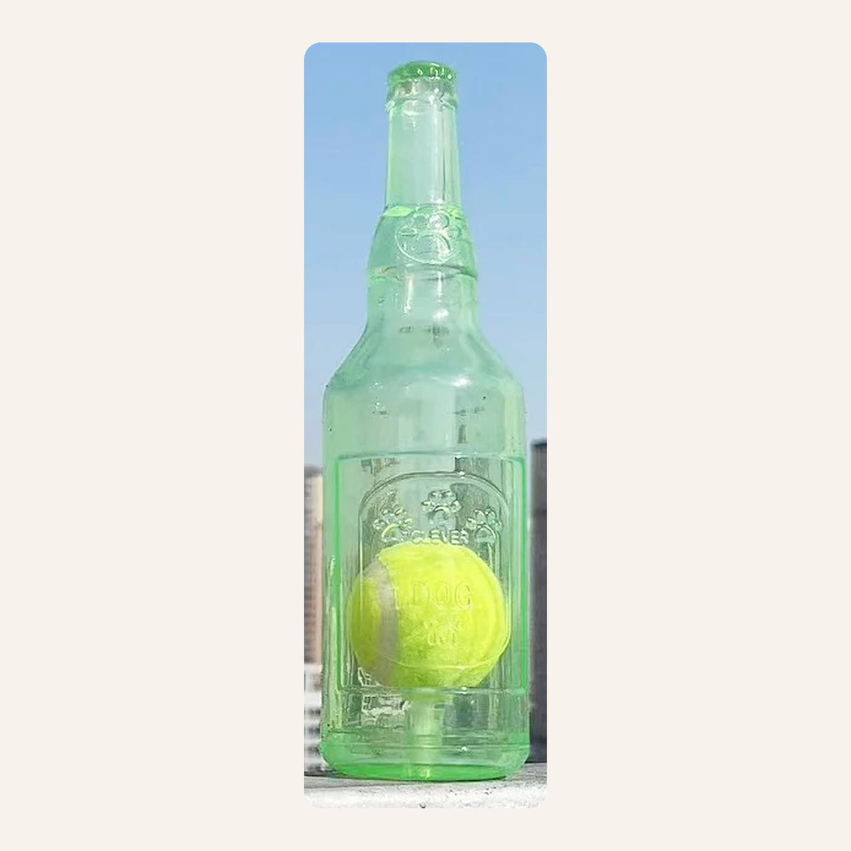 Green squeaky bottle dog toy with a tennis ball inside