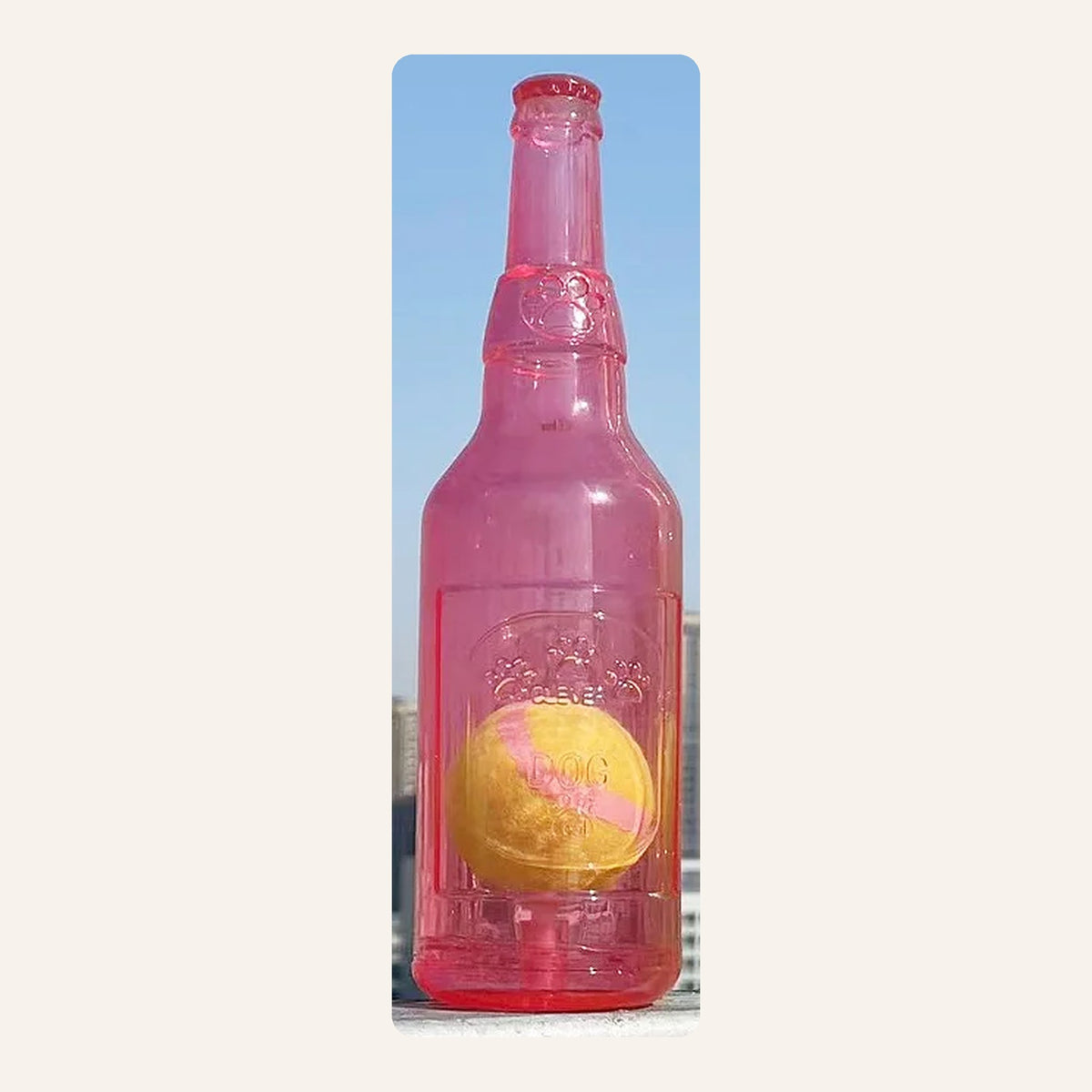 Red squeaky bottle dog toy with a ball inside