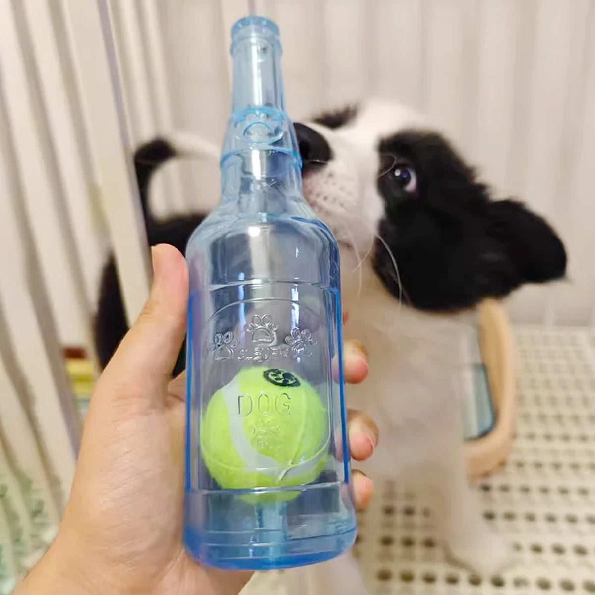 Hand holding the blue bottle and ball toy next to a puppy