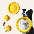 Yellow EVA foam flying disc, tug ring, solid ball and ball on a rope with a border collie holding the ring