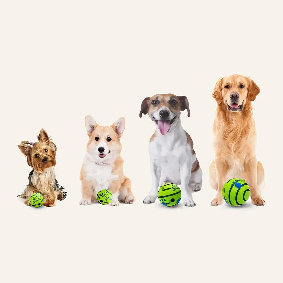 Giggle Sound Ball size guide showing the 7, 8.8, 10 and 14 cm balls next to dogs