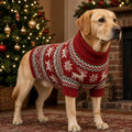 Labrador wearing the red Fair Isle Christmas jumper with white reindeer, part of the Christmas Dog Stocking
