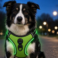 Rechargeable LED Light-Up Dog Harness