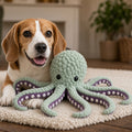 Beagle lying on a cream rug beside the mint green and purple Crinkle Squeaky Octopus Toy
