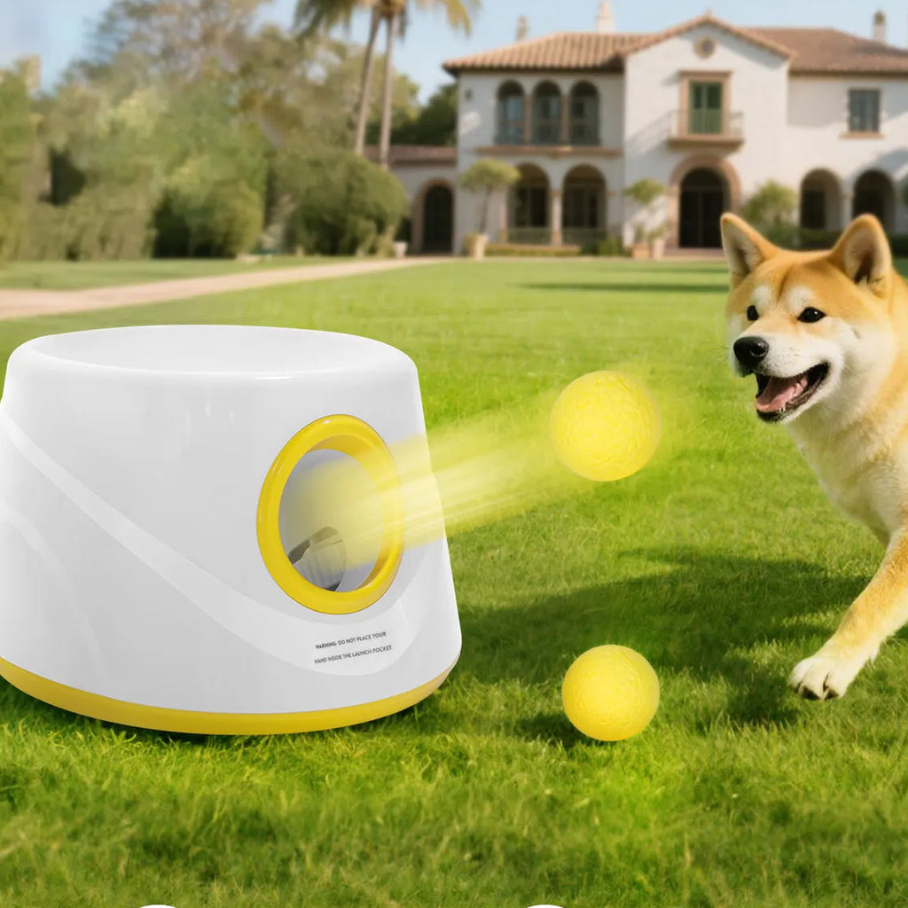 Automatic Dog Ball Launcher: launching ball