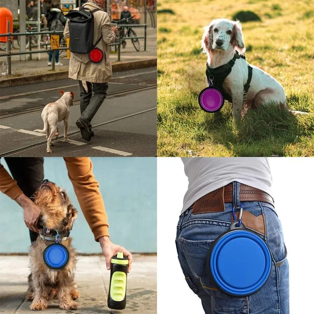 Collapsible Silicone Travel Bowl with Clip: real use on walks