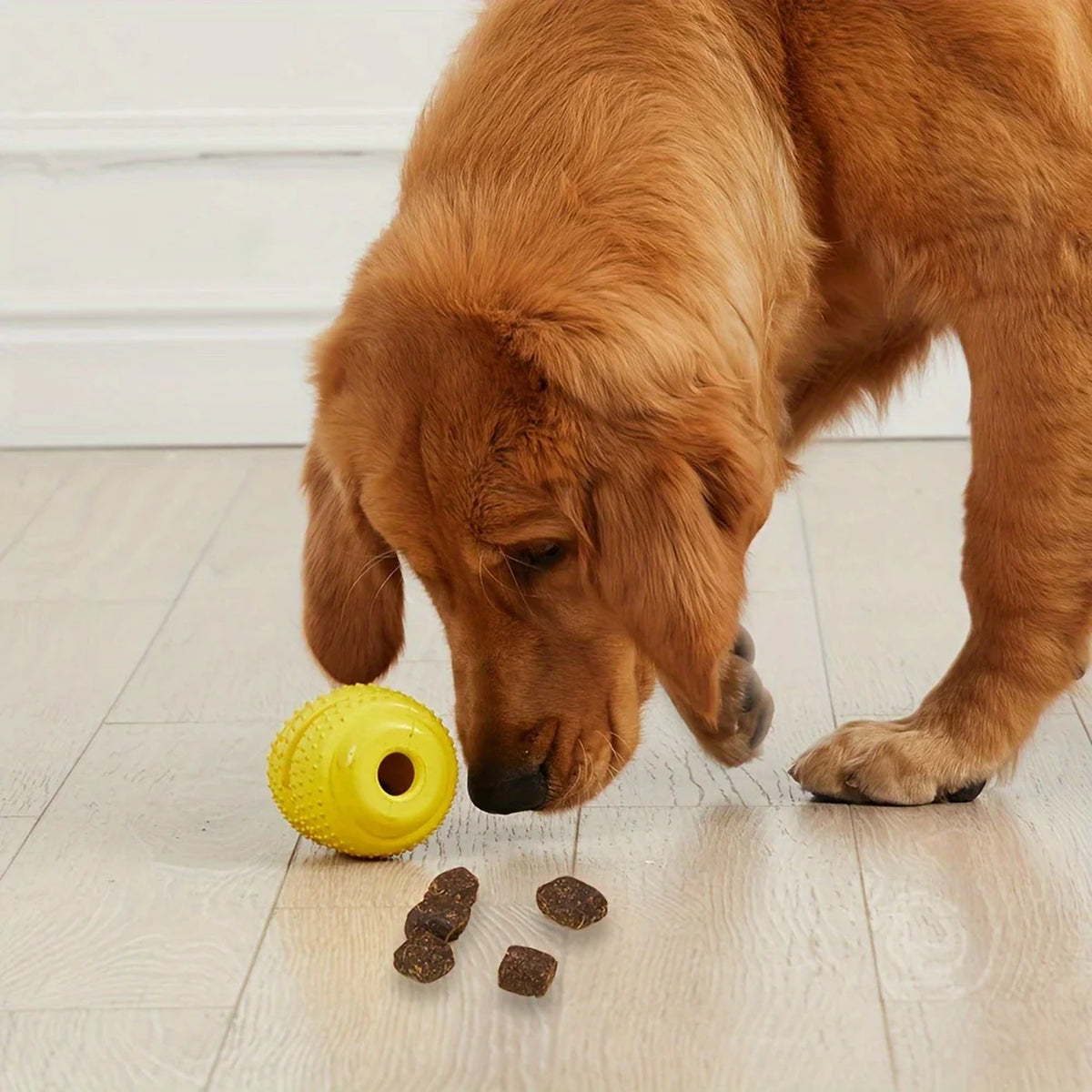 Treat-Dispensing Grenade Chew Toy: sniffing out treats
