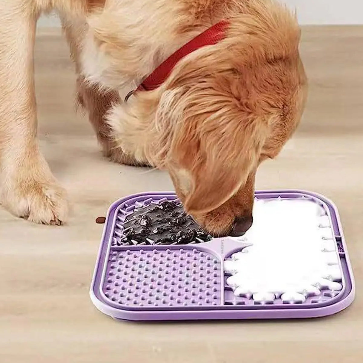 Wall Suction Lick Pad: licking