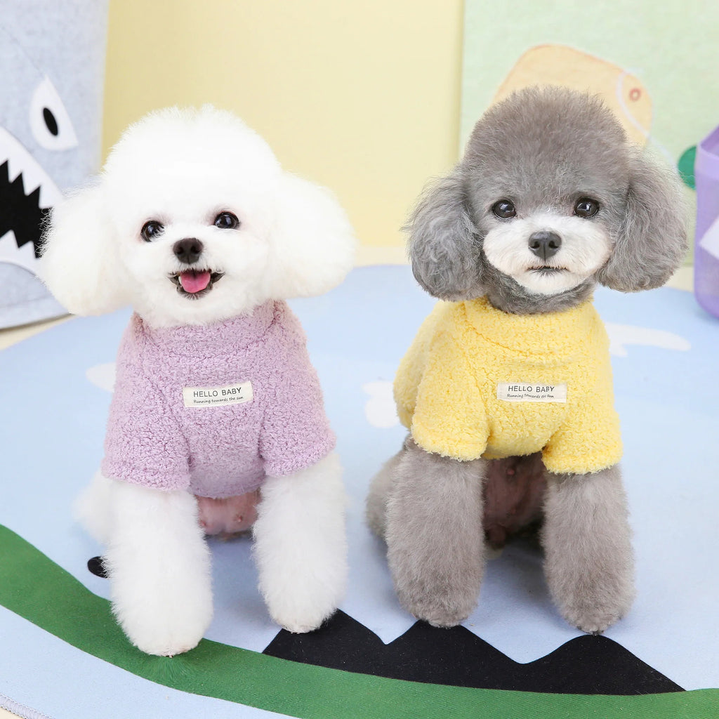 Warm Plush Winter Dog Jumper: worn purple and yellow