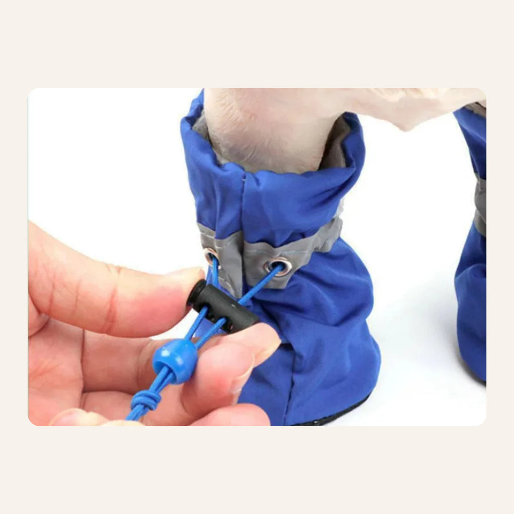 Waterproof Dog Rain Boots (Set of 4): real use on paw