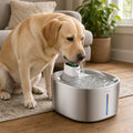 Cordless Sensor Water Fountain (4L): dog drinking