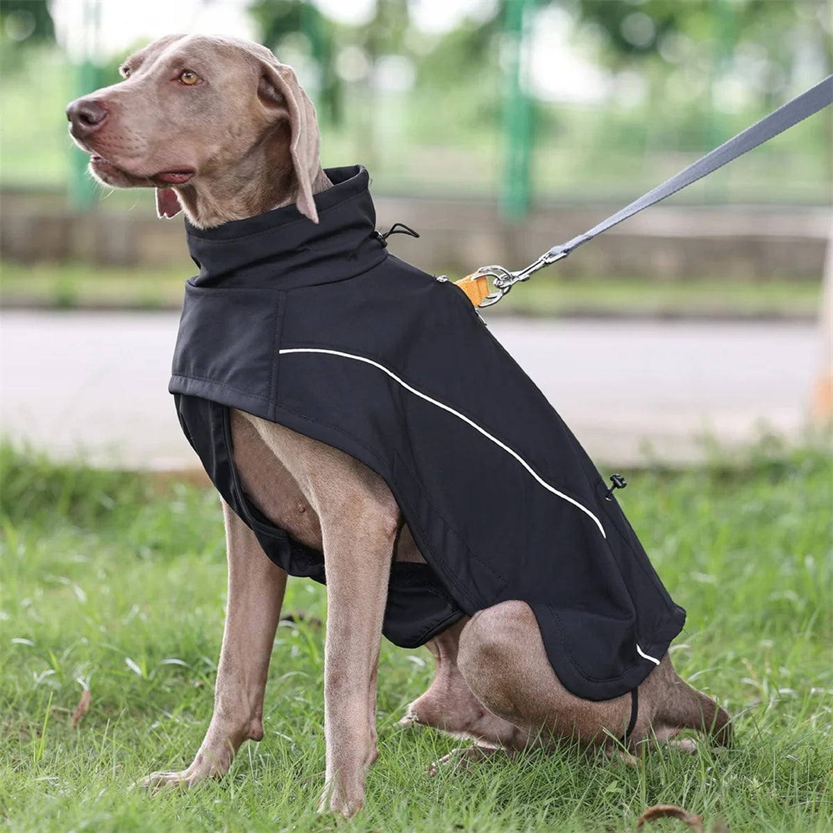 Fleece-Lined Soft-Shell Dog Jacket: black