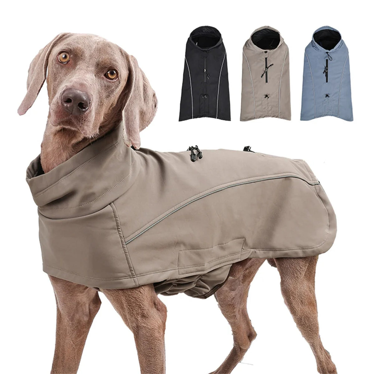 Fleece-Lined Soft-Shell Dog Jacket: colours