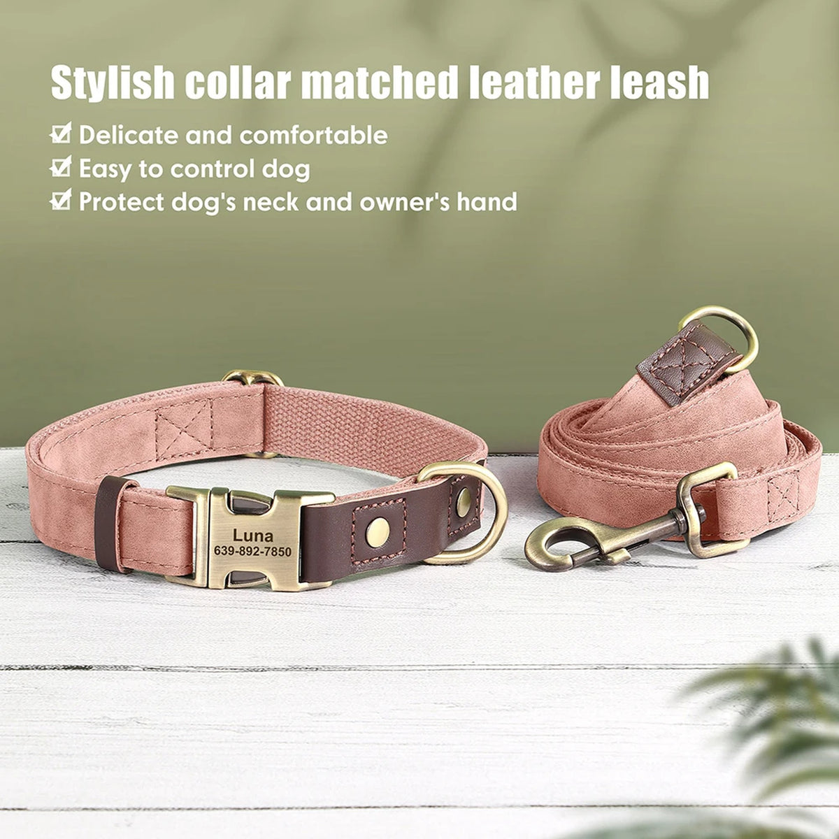 Leather-Look Dog Collar & Lead Set with Nameplate: set