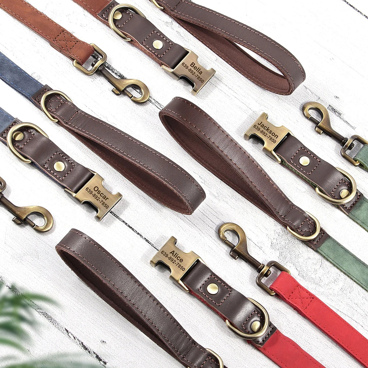 Leather-Look Dog Collar & Lead Set with Nameplate: leads