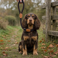 Braided Rope Slip Lead