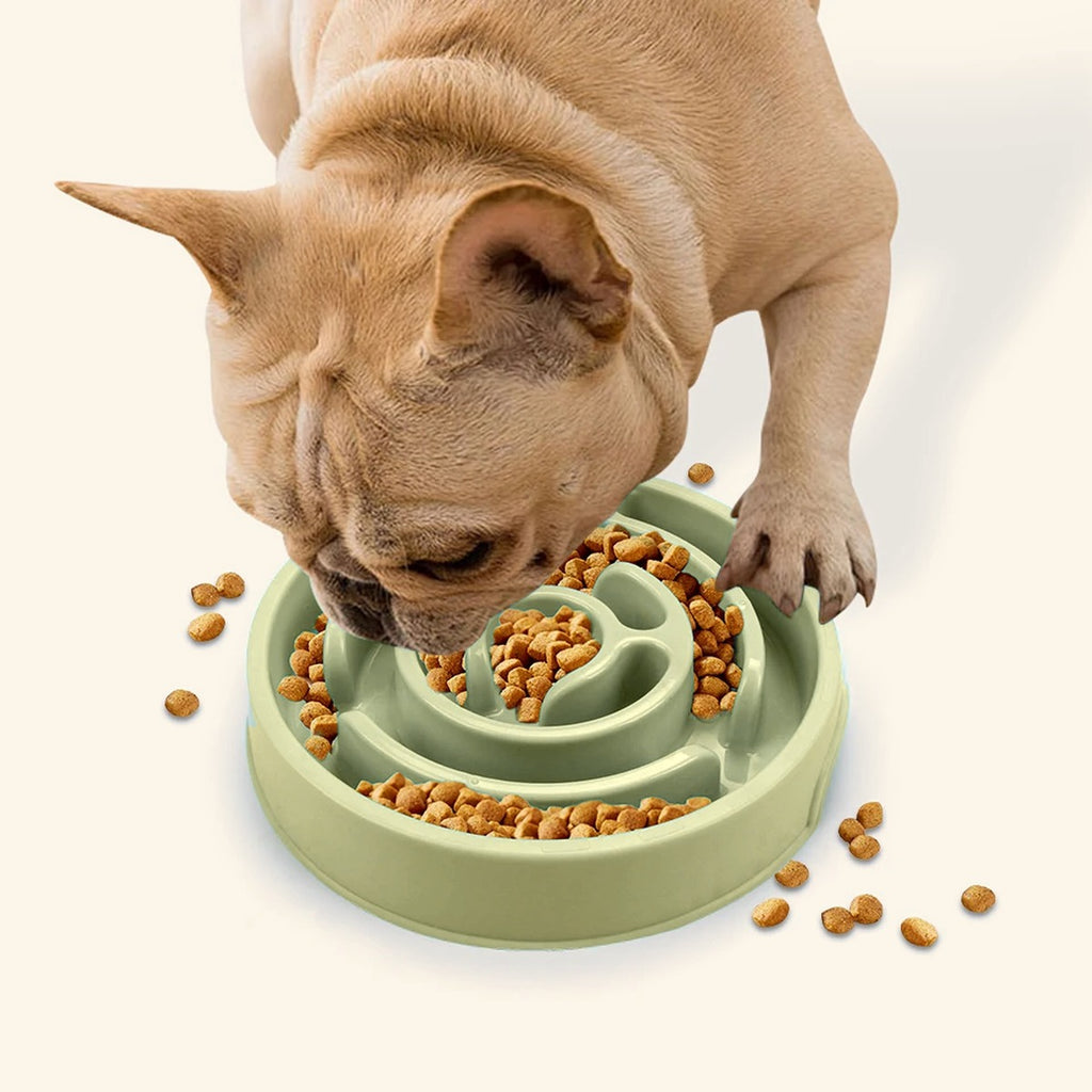 Maze Slow Feeder Dog Bowl