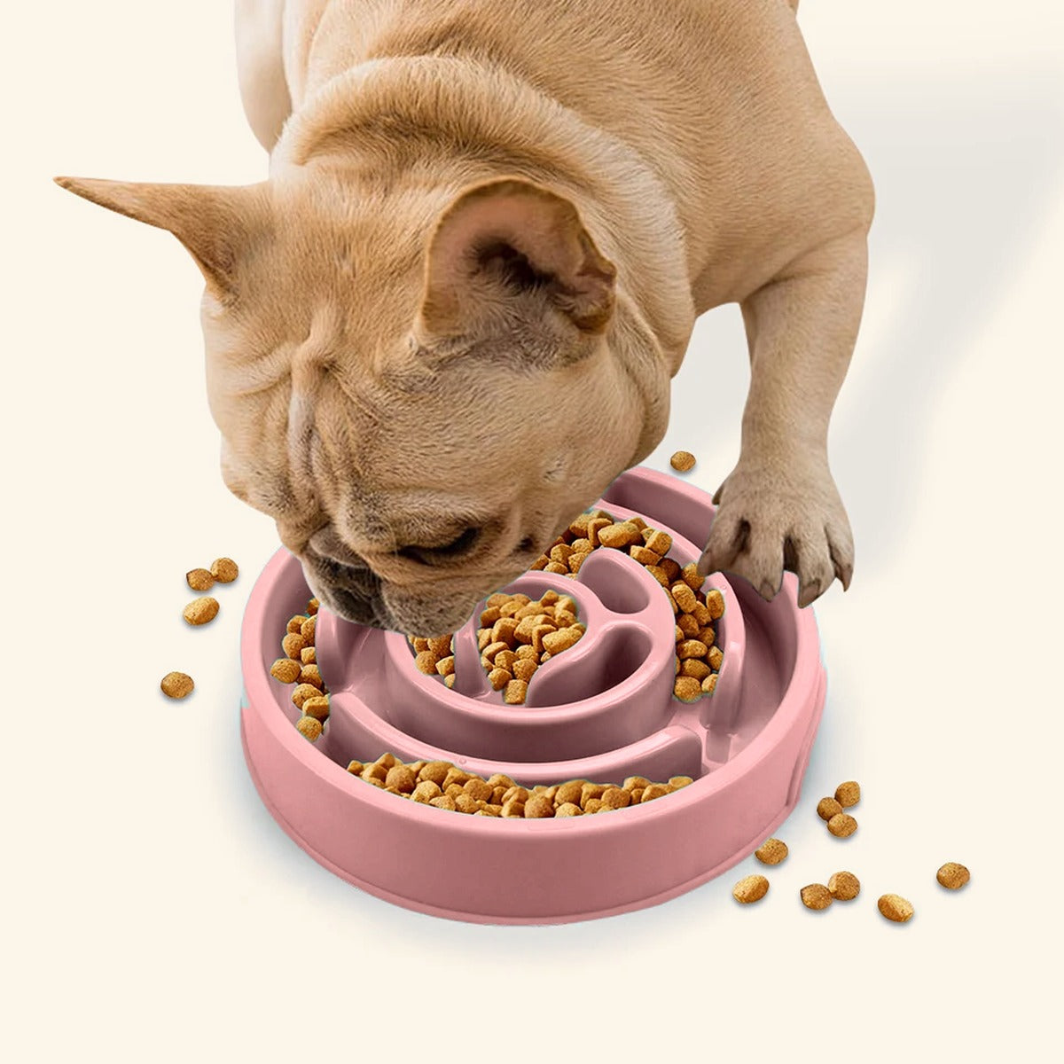 Maze Slow Feeder Dog Bowl