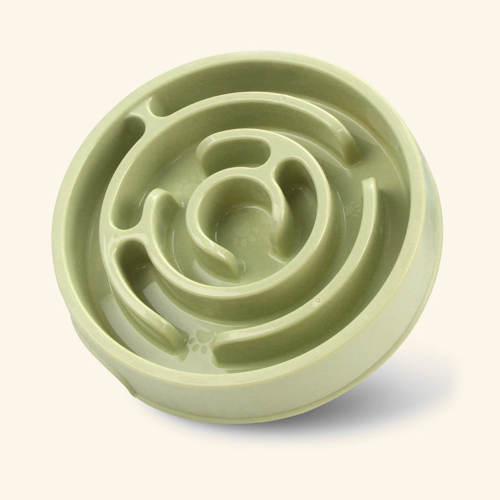 Maze Slow Feeder Dog Bowl