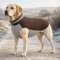 Labrador wearing the coffee Quilted Fleece-Lined Winter Dog Coat with grey quilted side panels and a reflective collar band on a frosty path