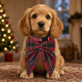 Christmas Snowflake Bow Collar
